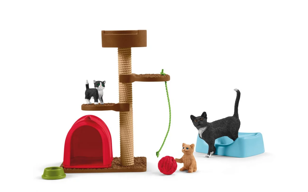 Speelplaats voor schattige katten